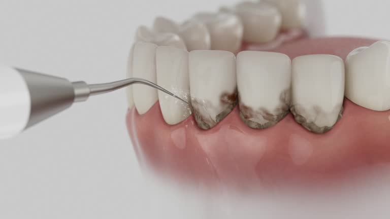 Reliable Dental contractor in Fernandina Beach, FL by Dentist Open Now